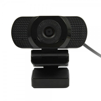 ALLNET PSUS20AT Webcam 2 MP 1920 x 1080 Pixel Schwarz