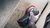 Bosch PRO F355 Schleifscheibe