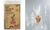 folia Sachet en cellophane, 95 x 160 mm, transparent (57906128)
