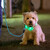 Relaxdays Hundeleine reflektierend, 150 cm, gepolsterte Schlaufe, Leine kleine & große Hunde, bis 50 kg, Nylon, blau
