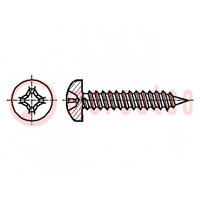 Screw; 3.5x45; Head: cheese head; Phillips; PH2; ISO 7049; BN 695