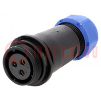 Plug; SP21; female; PIN: 3; IP68; 7÷12mm; 30A; soldering; for cable