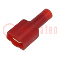 Terminal: flat; 6.4mm; 0.8mm; male; crimped; for cable; insulated