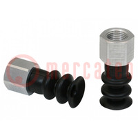 Suction cup; 14mm; G1/8" IG; Shore hardness: 55; 0.975cm3; FSG