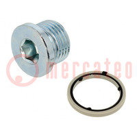 Protection cap; zinc plated steel; Thread: G 1/2"; 14Nm
