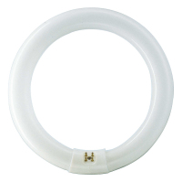 Philips MASTER TL-E Circular Leuchtstofflampe 32 W G10Q Kühles Tageslicht