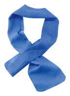 Ergodyne 12418 Abtrockentuch für die Hände Blau 10,2 x 74,9 cm