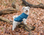 TRIXIE Kenton M Blau Synthetische Wolle Hund Pullover