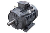 185.043TECCB3-IE3 AC Electric Motors