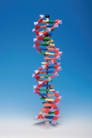 Molekülbaukastensystem miniDNA®/RNA Kits | Typ: miniDNA®