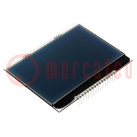Display: LCD; grafico; 160x104; FSTN Negative; nero; 78x60,96mm