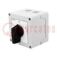 Switch: cam switch; Stabl.pos: 2; 20A; 0-1; in housing; Poles: 3