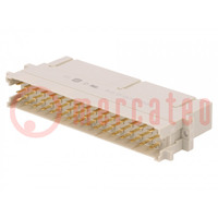 DIN 41612; type F; male; PIN: 48; crimped; DIN-Power F48MW-C1-1