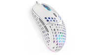 ENDORFY Mouse USB LIX OWH PMW3325 Maus Gaming Beidhändig USB Typ-C Optisch 8000 DPI