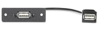 Extron 70-455-12 prise de courant USB A Noir
