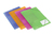 Rexel Ice Four Fold Flap File Assorted Colours (4)