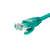 Netrack BZPAT1P5UG kabel sieciowy Zielony 1,5 m Cat5e U/UTP (UTP)