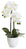 Botanic-Haus 206673-102 Künstliche Pflanze Drinnen/Draußen Künstliche Blütenpflanze
