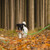 Hundeleine in Grün - 150 cm 10045661_0