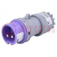 Connector: AC supply; plug; male; 16A; 24VAC; IEC 60309; IP44; PIN: 2