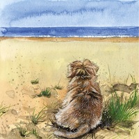 Képeslap Alex Clark borítékkal, 14x14 cm, kutya tengerparton
