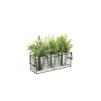 Artificial Mixed Succulent Plant Pots x3 Pack - 20cm, Green