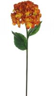 Artificial Silk Large Mophead Hydrangea - 81cm, Burnt Orange