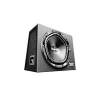 Sony XS-NW1202E Subwoofer 300 W