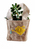 SODERTEX L420000 pot à fleurs Intérieur & extérieur Jardinière Autonome Jute, Polyvinyl chloride (PVC) Naturel