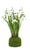 Botanic-Haus 202801-100 Künstliche Pflanze Indoor Künstliche Blütenpflanze