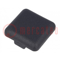 Stopper; for profiles; Width of the groove: 6mm; W: 20mm; L: 20mm
