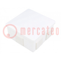 Enclosure: junction box; X: 80mm; Y: 80mm; Z: 40mm; polystyrene; IP44