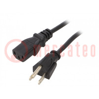 Kabel; 3x18AWG; IEC C13 vrouwelijk,NEMA 5-15 (B) stekker; PVC
