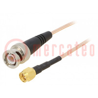 Cable; 50Ω; 1.22m; BNC plug,SMA male; shielded; transparent; 48"