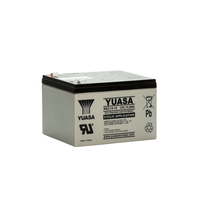 YUASA Zyklentyp REC14-12 12V 14Ah AGM Traktionsbatterie