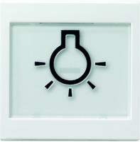 Wippe Schalter System 55 rws mt Licht Symbol Licht Mit Beschriftungsfeld