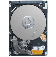 DELL 660T1 internal hard drive 2.5" 160 GB Serial ATA II
