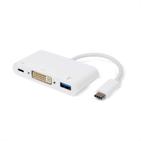 ROLINE USB 3.1 C - DVI Wit