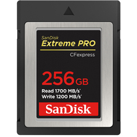 SanDisk Extreme Pro 256 GB Kompaktflash