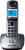 Panasonic KX-TG2511 Telefon w systemie DECT Nazwa i identyfikacja dzwoniącego Szary