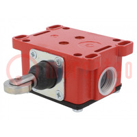 Limit switch; NO + NC; 10A; max.400VAC; M20; IP65; -30÷80°C