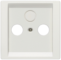 Siemens 5TG1338 wall plate/switch cover