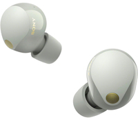 Sony WF-1000XM5 Auricolare Wireless In-ear Musica e Chiamate Bluetooth Argento