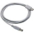 Datalogic Straight Cable - Type A USB USB-kabel 2 m