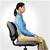 Fellowes Back Support for Office Chair - Professional Series Ultimate Back Support with Antibacterial Protection - H36.5 x W37.5 x D5.5cm