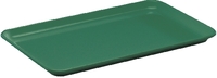 WACA Auslageplatte 30x19x1,7 cm aus Melamin, Farbe: grün