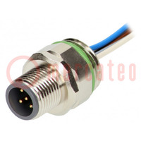 Socket; M12; PIN: 5; male; A code-DeviceNet / CANopen; cables; 0.5m