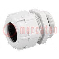 Cable gland; PG29; IP68; polyamide; grey; UL94V-2