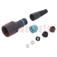 Conector: fibras ópticas; PIN: 2; dúplex multimodo (MM); UL94V-0