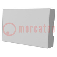Enclosure: for DIN rail mounting; Y: 90mm; X: 142mm; Z: 32mm; grey